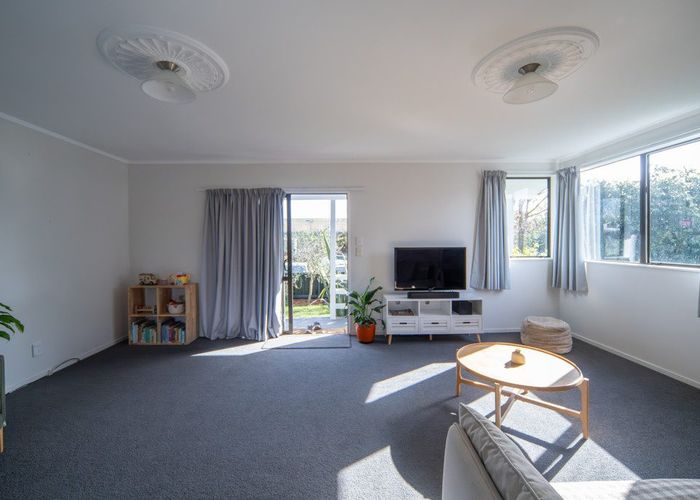  at 45 Alison, Hamilton Lake, Hamilton, Waikato