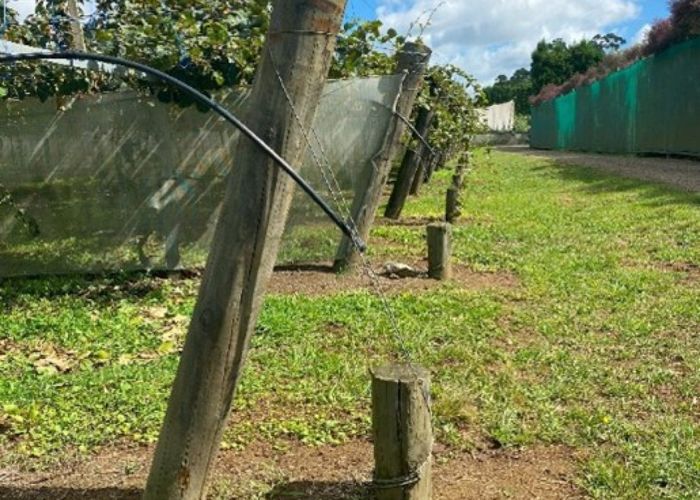  at Lot 2, 2374 State Highway 10, Kerikeri, Far North, Northland