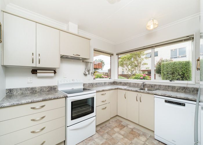  at 45 Dittmer Drive, Awapuni, Palmerston North, Manawatu / Whanganui