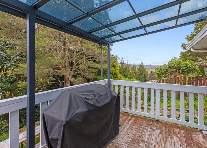  at 65 Bongard Street, Gate Pa, Tauranga, Bay Of Plenty