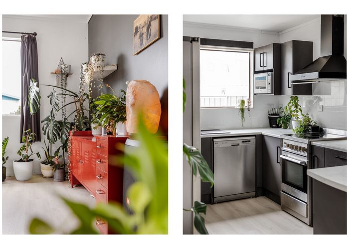  at 14 Alpha Avenue, Coastlands, Whakatane