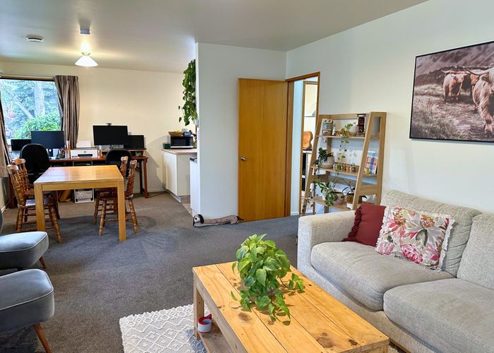  at 12 Solway Drive, Witherlea, Blenheim, Marlborough