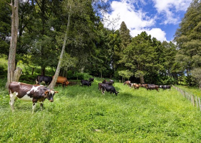  at 467A Te Mata Road, Raglan, Waikato, Waikato