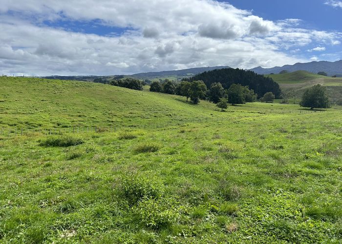  at 70 Kiwi Road, Pirongia, Waipa, Waikato
