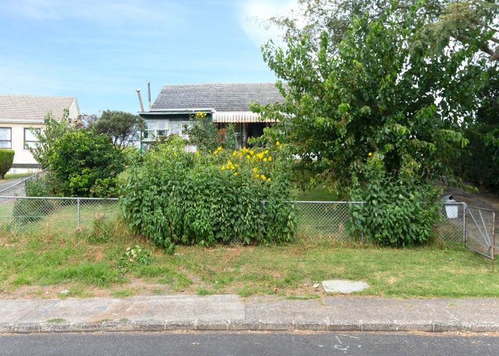  at 54 Potter Avenue, Mount Roskill, Auckland City, Auckland