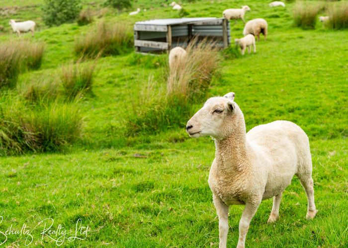  at 24A Waterview Crescent, Kaiwaka, Kaipara, Northland