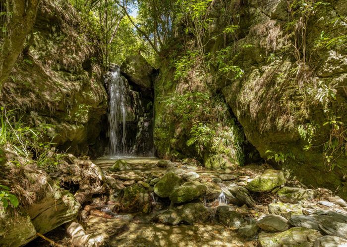  at 441 Wakamarina Valley Road, Havelock, Marlborough, Marlborough