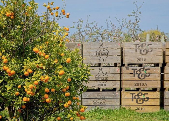  at 120 Pilmer Road, Makauri, Gisborne, Gisborne