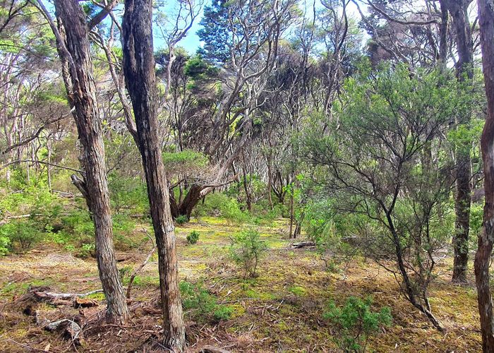  at 21 Woods Ridge Road, Kawau Island, Hauraki Gulf Islands, Auckland