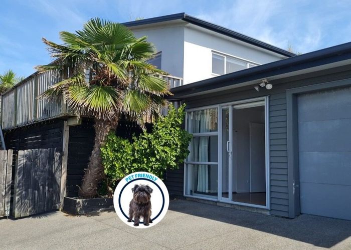  at 855 Whangaparaoa Road, Manly, Rodney, Auckland