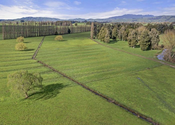  at 1/2528 Cambridge Road, Te Awamutu, Te Awamutu