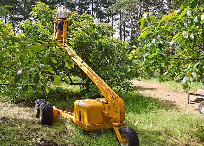 For sale Journeys End, Tapora, Rodney, Auckland homes.co.nz