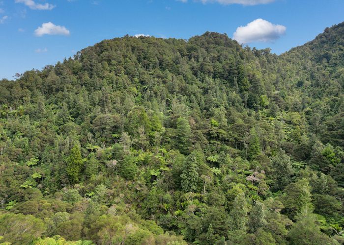  at 495 Kopu Hikuai SH 25A, Thames, Thames-Coromandel, Waikato
