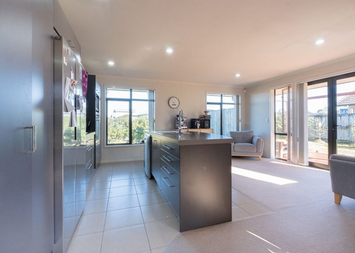  at 17 Tennille Street, Flagstaff, Hamilton, Waikato