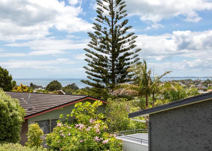  at 353 East Coast Road, Mairangi Bay, North Shore City, Auckland