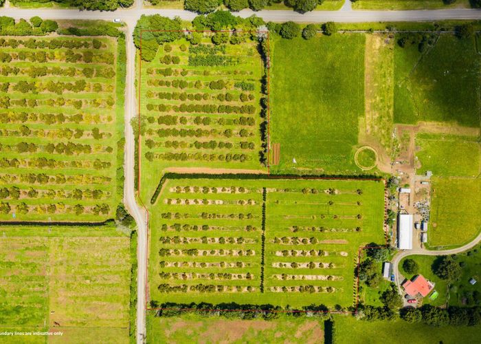  at 146 Bint Road, Maungakaramea, Whangarei, Northland