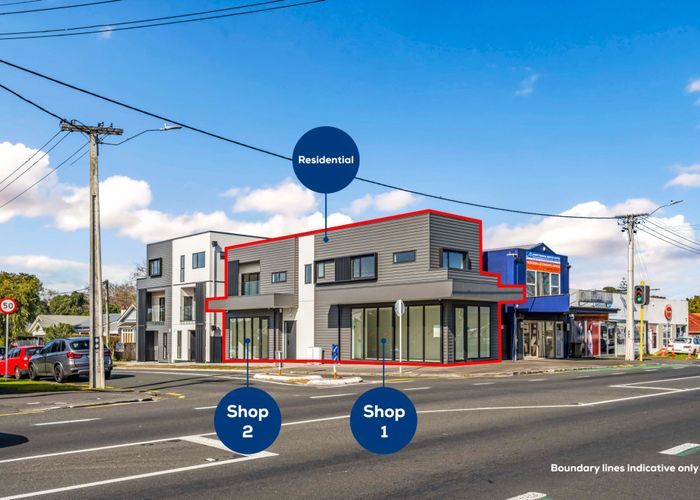  at 138 Marsden Avenue, Mount Eden, Auckland City, Auckland