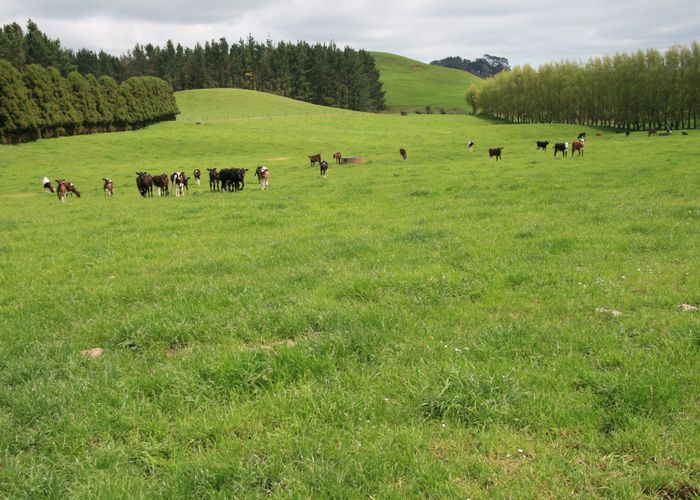  at 23-42 Tiromoana Road, Eltham, South Taranaki, Taranaki