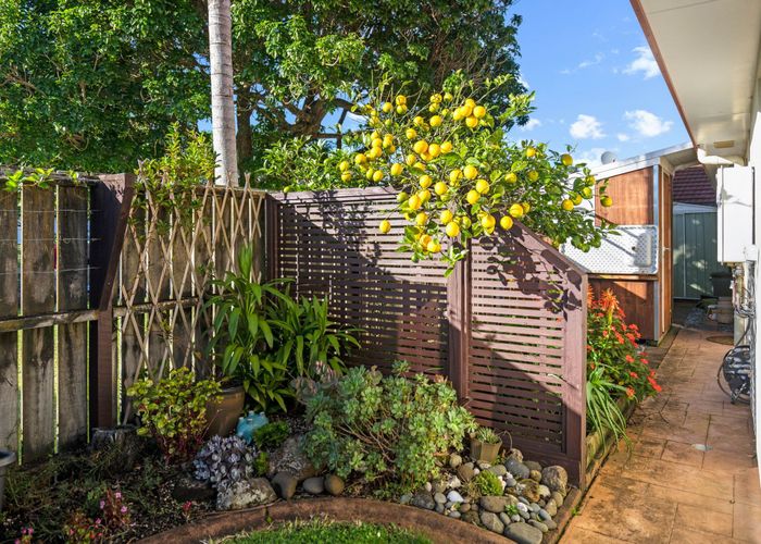  at 1A Kotare Crescent, Maunu, Whangarei