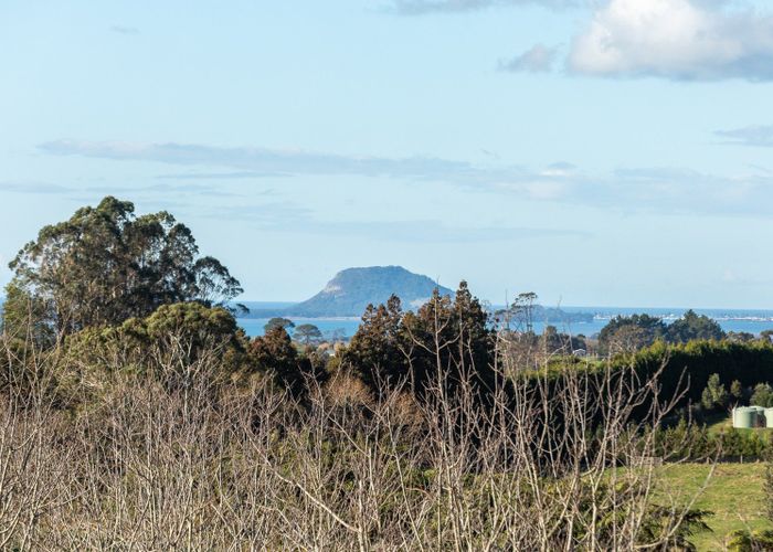  at 481 Wainui Road, WHAKAMARAMA, TAURANGA