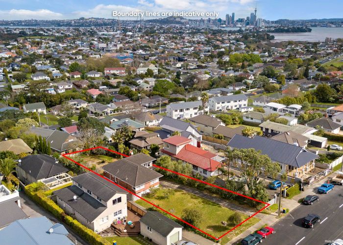 at 33 Williamson Avenue, Belmont, Auckland