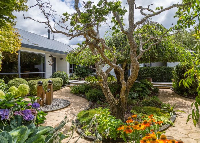  at 8 Mole Street, Greytown
