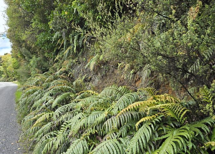  at 7 Rata Street, Stewart Island, Southland, Southland