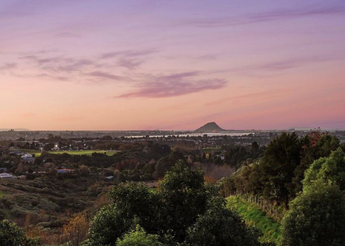  at 20 Blackberry Way, Welcome Bay, Tauranga