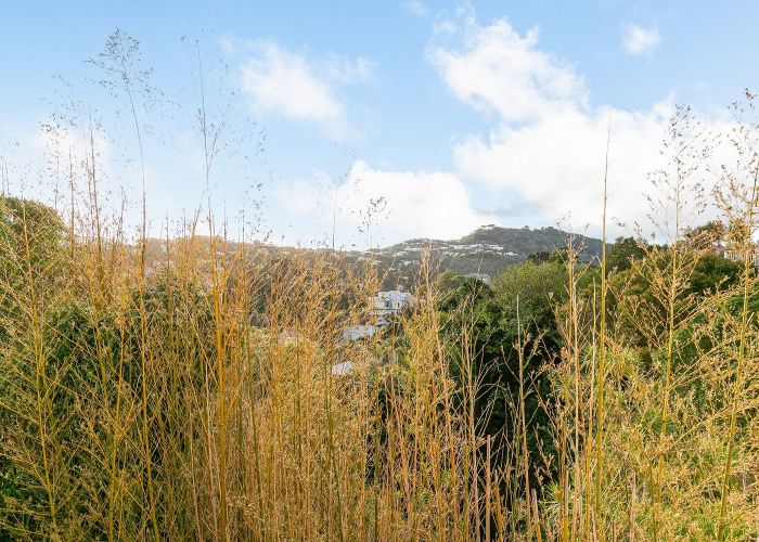  at 34E Upland Road, Kelburn, Wellington, Wellington