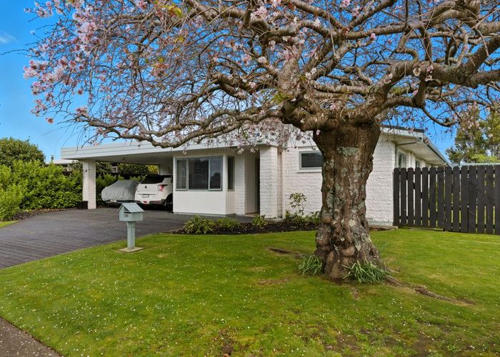 at 135 Te Hono Street, Maungatapu, Tauranga, Bay Of Plenty