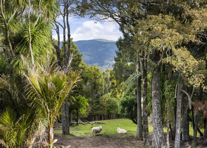  at 429 Wairere Road, Waitakere, Waitakere City, Auckland