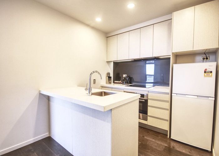  at 3002/32 Swanson Street, City Centre, Auckland City, Auckland