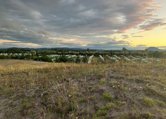  at 1030A Thornton Road, Matata, Whakatane