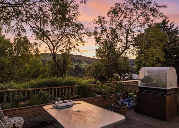  at 322 Hillingdon Street, Normanby, Dunedin