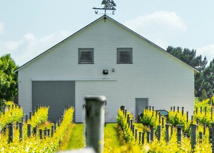  at 224 Te Muna Road, Martinborough, South Wairarapa, Wellington