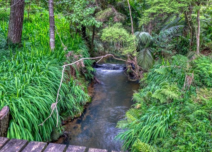  at 1807 Diggers Valley Road, Diggers Valley, Far North, Northland