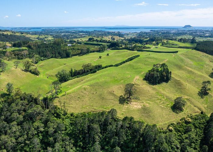  at 39  Vernon Road, Te Puna, Western Bay Of Plenty, Bay Of Plenty