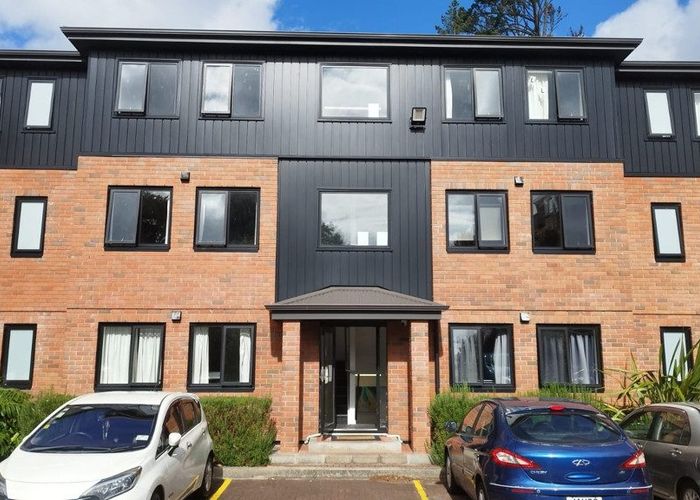  at 29/1510 Great North Road, Waterview, Auckland City, Auckland