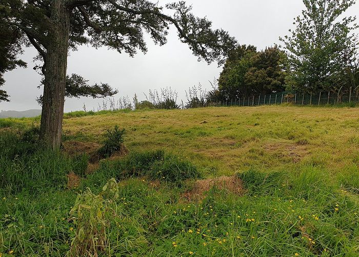  at 217 Heatley Road, Whakapirau
