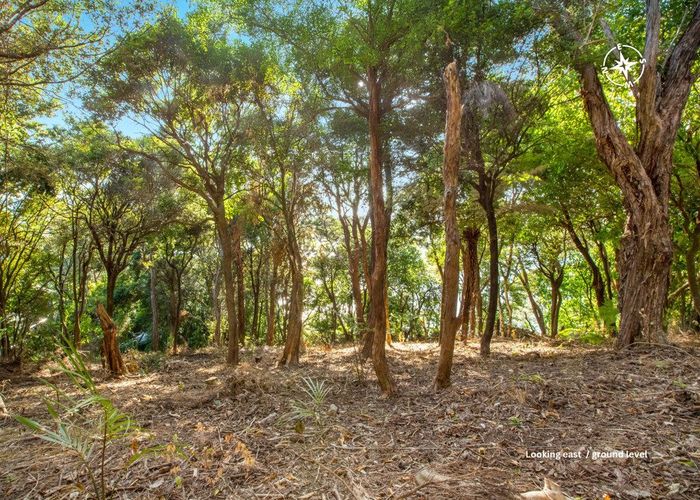  at 22 Albert Crescent, Ostend, Waiheke Island, Auckland