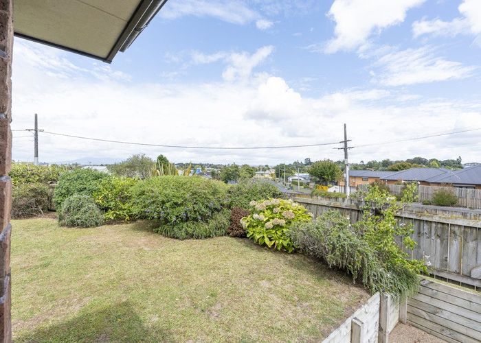  at 2 Thomson Avenue, Dinsdale, Hamilton