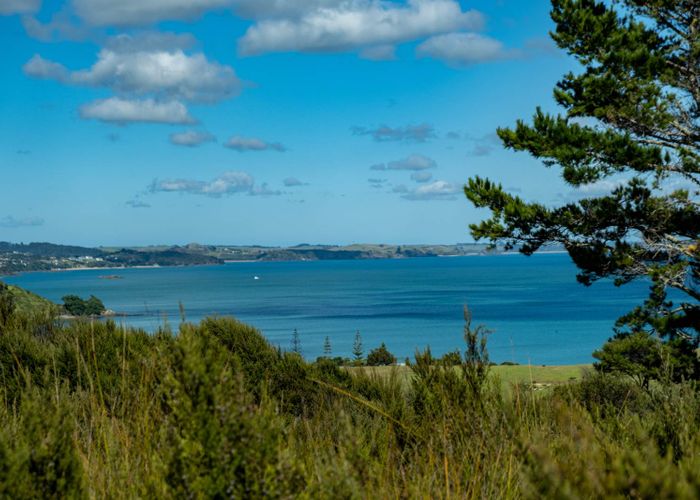  at 458D Hihi Road, Hihi