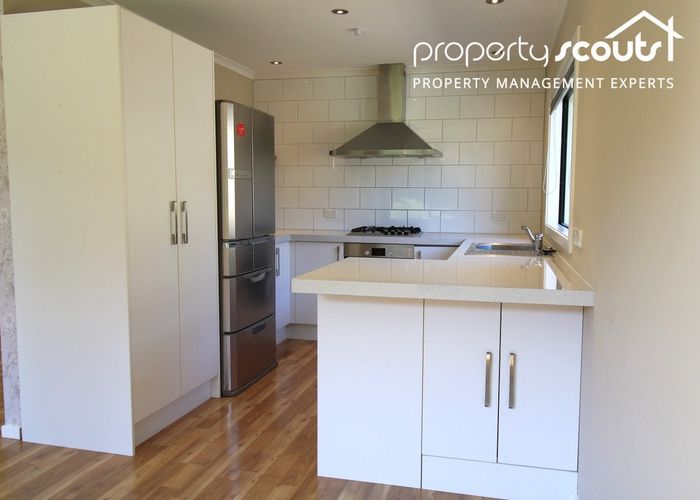 at 13 Hugh Street, Sawyers Bay, Dunedin