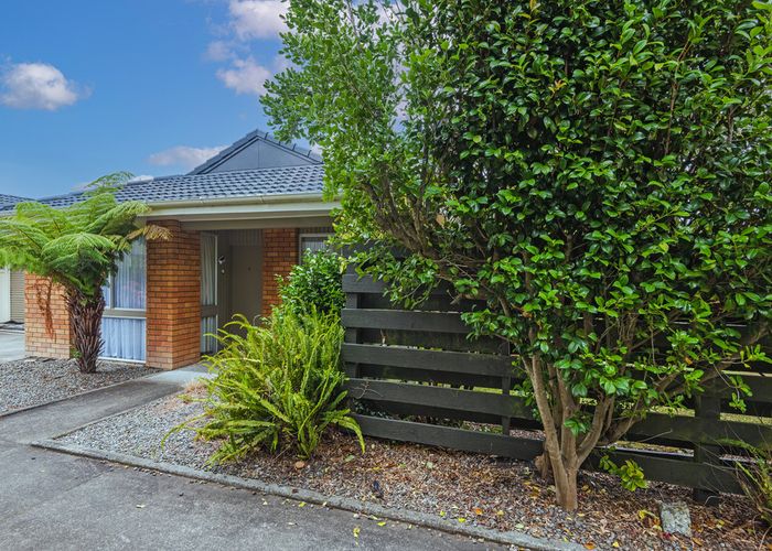  at 9 Brightwater Terrace, Terrace End, Palmerston North