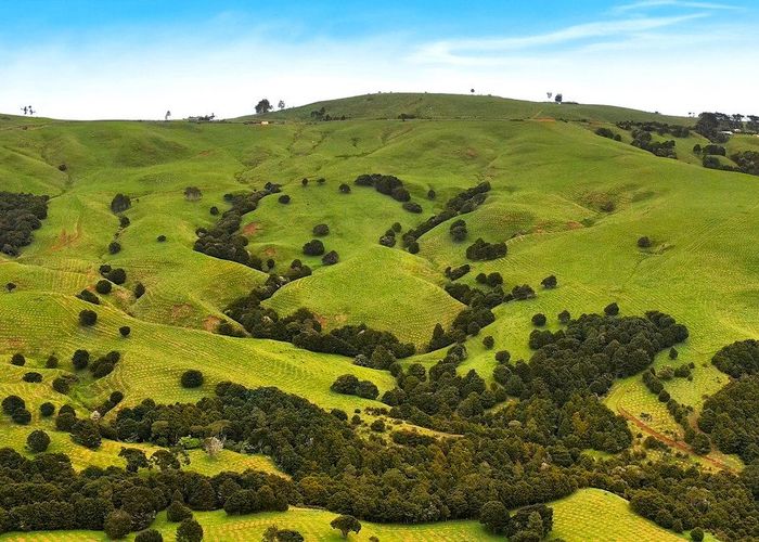  at Aranga Forest, Dargaville, Kaipara, Northland