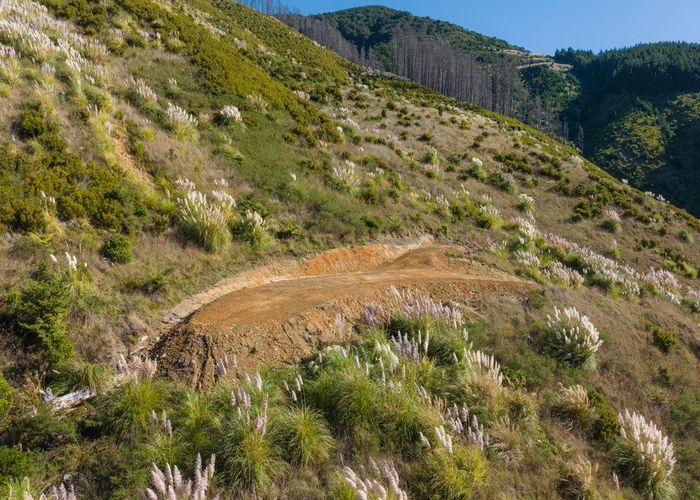  at 815 Manaroa Road, Marlborough Sounds, Marlborough, Marlborough