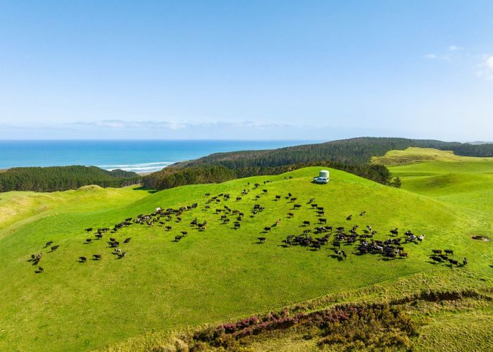  at 780 Te Maire Road, Te Kopuru, Kaipara, Northland