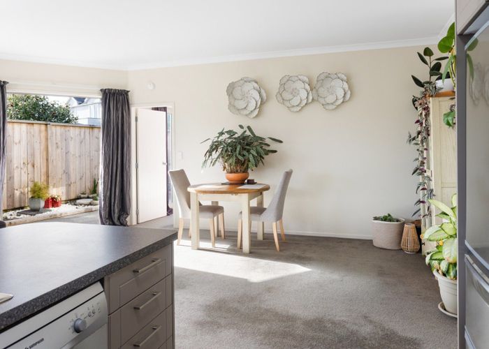  at 7B Harrow Place, Mount Maunganui, Tauranga, Bay Of Plenty