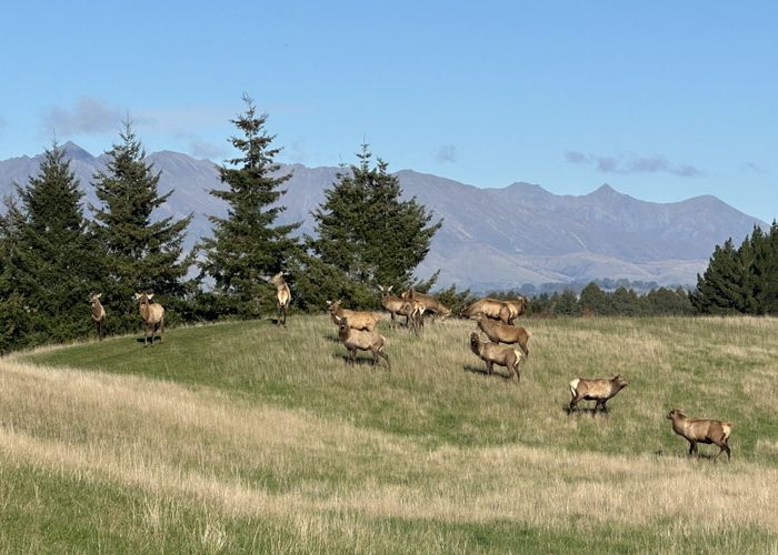  at 561 Te Anau Mossburn Highway, Te Anau, Southland, Southland