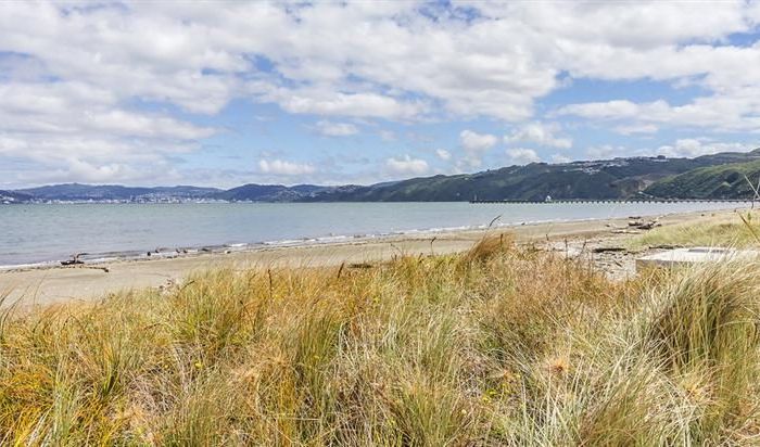  at 10 Queen Street, Petone, Lower Hutt, Wellington